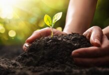 ESG no Agro: Entre Tendências e Realidade, a Sustentabilidade Como Verdadeiro Norte