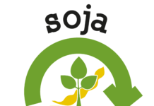 A Nova Certificação de Soja Baixo Carbono e a Importância das Certificações no Agronegócio