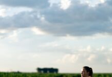 Retrospectiva 2024: Conquistas e Perspectivas do Agronegócio Brasileiro