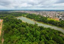 Parque Florestal de Sinop integra Rota dos Primatas de Mato Grosso e fortalece ecoturismo no Norte do estado