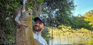 Registro de trairão de 94 centímetros capturado pelo influenciador Eduardo Possamai no Rio dos Peixes, em Tabaporã, alcança mais de 1 milhão de visualizações